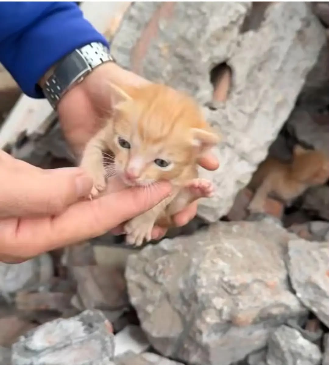 Rescued animal beginning a new life