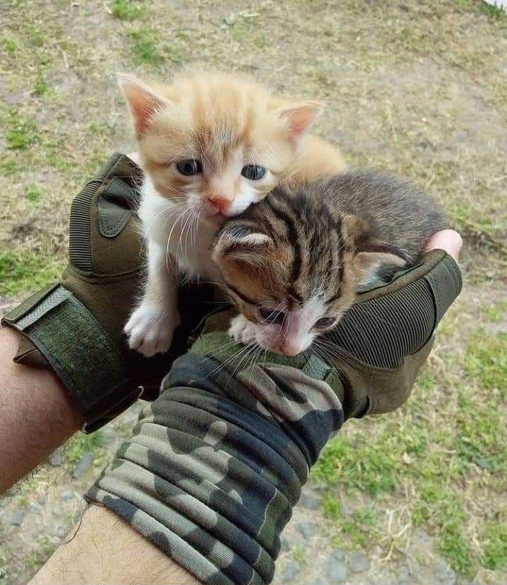 Rescued animal beginning a new life