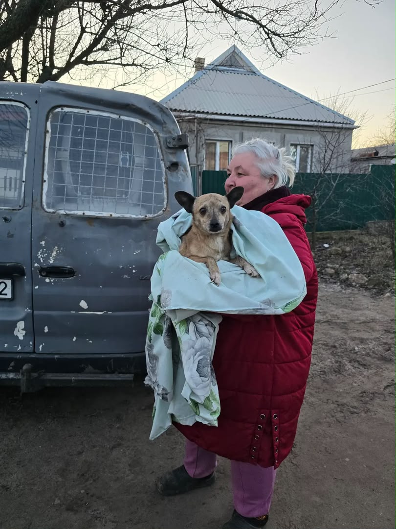 Animal Care