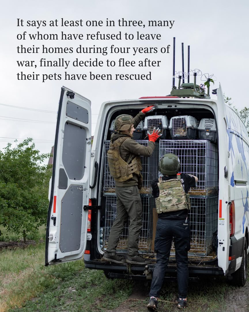 Animal rescue and care