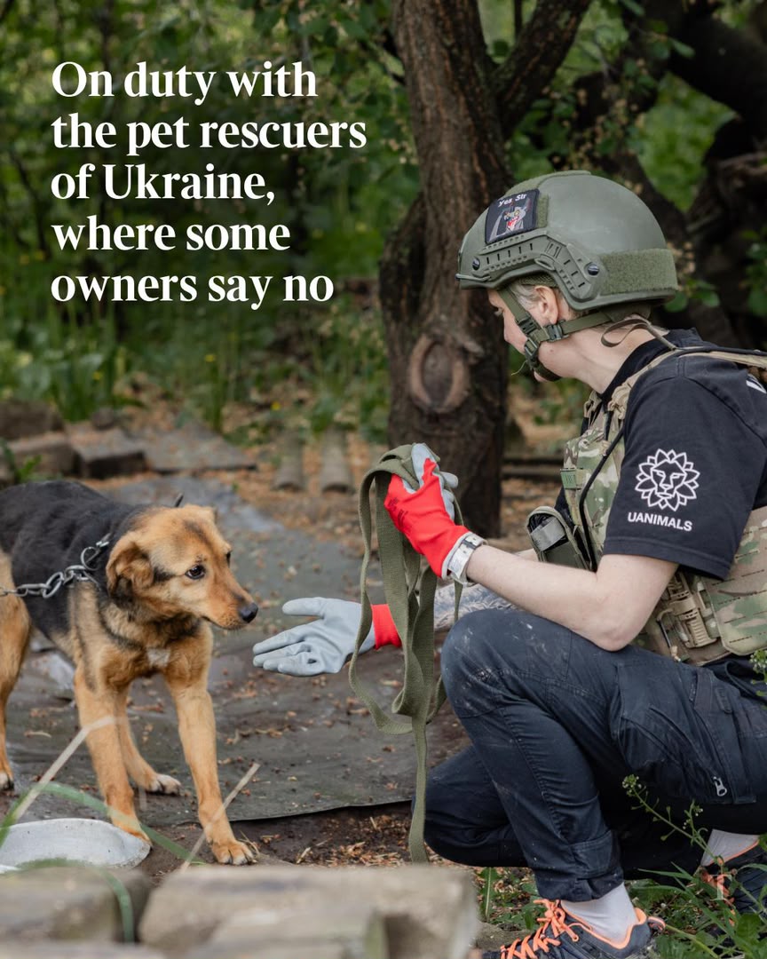Soldier with a dog